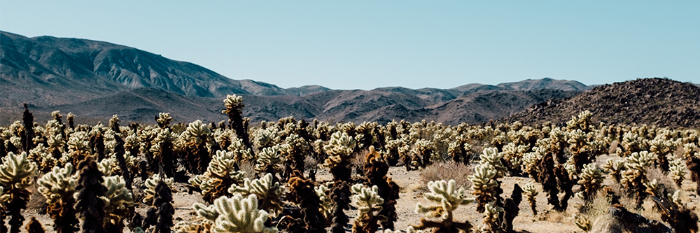 how-far-is-scottsdale-from-phoenix-heers-management