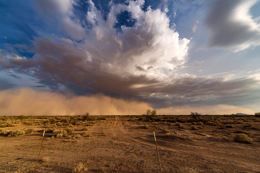 phoenixduststorm-heers