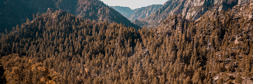 where-to-go-hunting-in-arizona–5-of-the-most-popular-spots